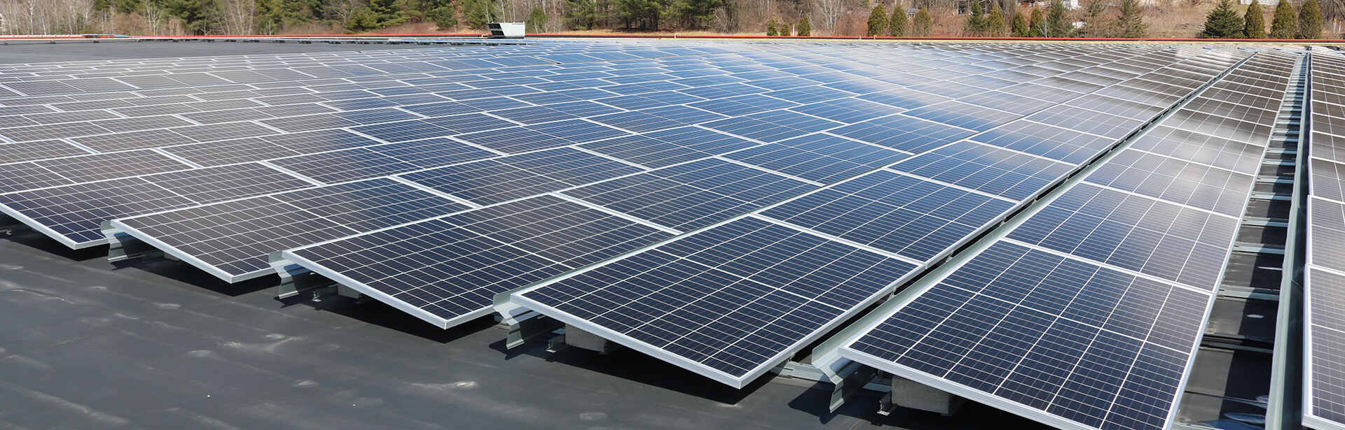 A field of solar panels.